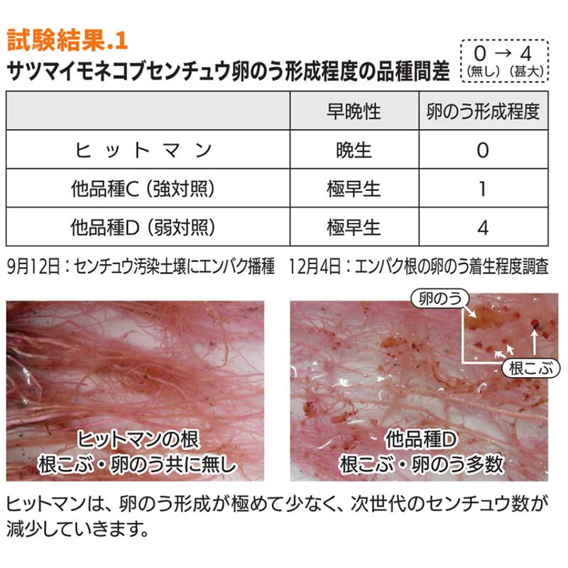 種 1kg ヒットマン エンバク カネコ種苗 緑肥 春播き 秋播き 線虫低減 硬盤破砕 防風 敷ワラ カ緑 代引不可 |  | 05