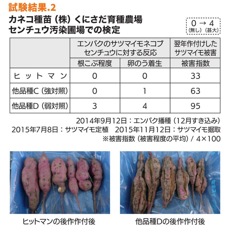 種 22.5kg ヒットマン エンバク カネコ種苗 緑肥 春播き 秋播き 線虫低減 硬盤破砕 防風 敷ワラ カ緑 代引不可 |  | 06