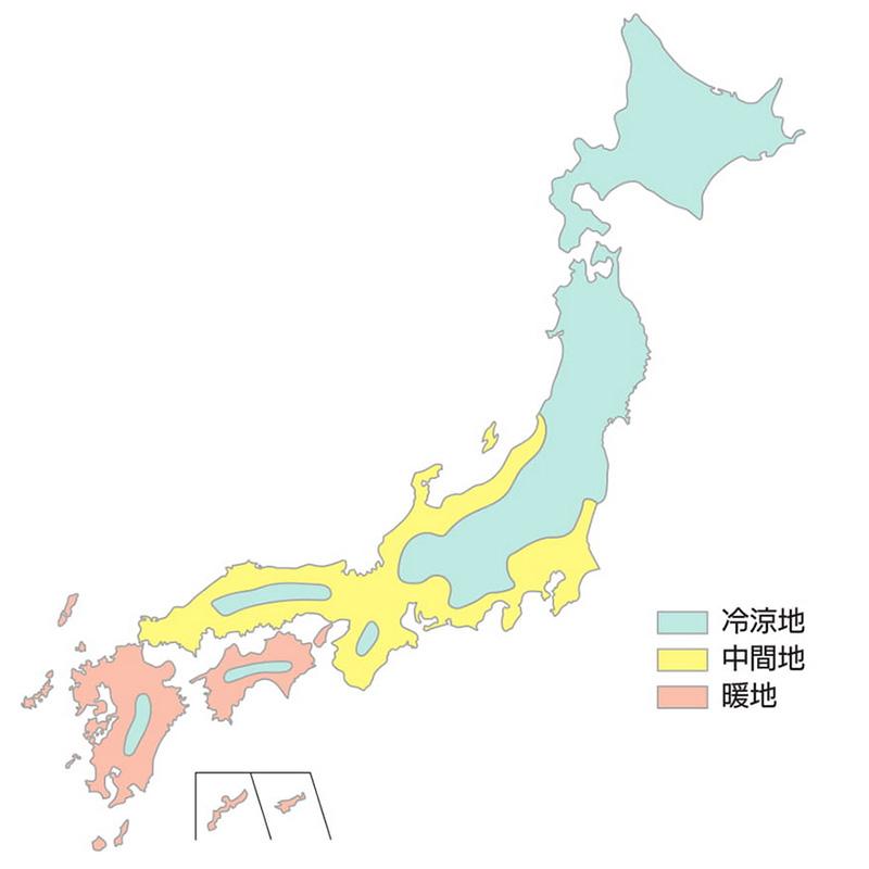 種 1kg ハルミドリ ライムギ カネコ種苗 ライ麦 緑肥 秋播き 硬盤破砕 敷ワラ 黒斑細菌病耐病性 カ緑 代引不可 |  | 06