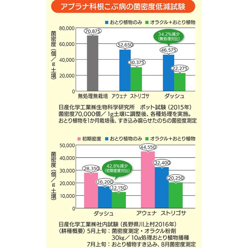 種 1kg ダッシュライムギ カネコ種苗 ライ麦 緑肥 春播き 秋播き 硬盤破砕 防風 アブラナ科根こぶ病菌密度低減 黒斑細菌病耐病性 カ緑 代引不可 |  | 04