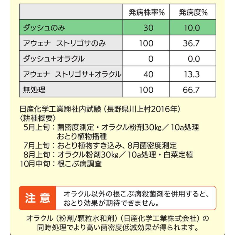 種 1kg ダッシュライムギ カネコ種苗 ライ麦 緑肥 春播き 秋播き 硬盤破砕 防風 アブラナ科根こぶ病菌密度低減 黒斑細菌病耐病性 カ緑 代引不可 |  | 05