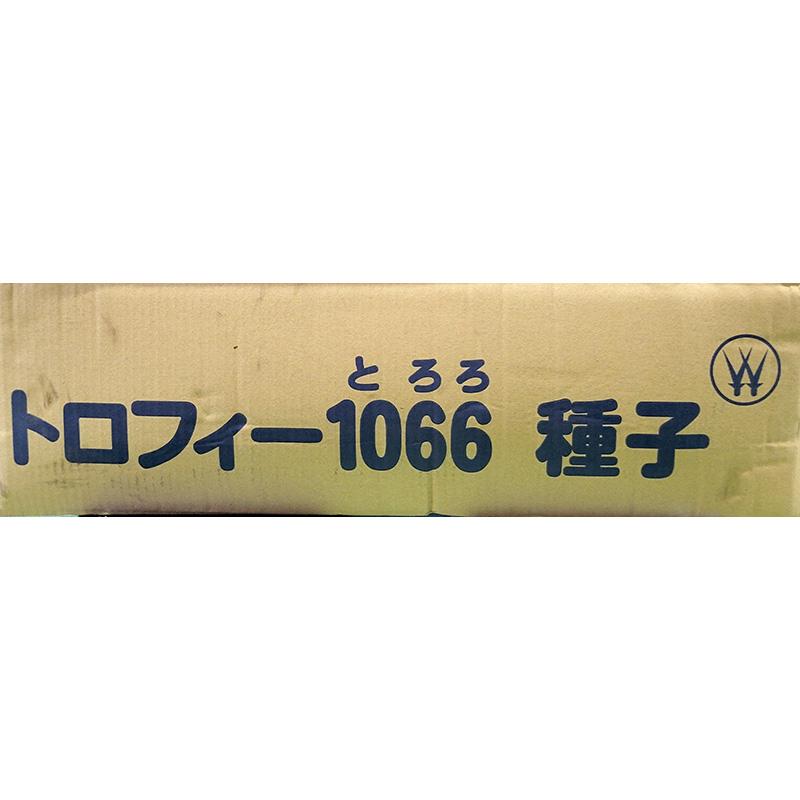 30本 種芋 Mサイズ 長芋 トロフィー 1066 (とろろ) 青森産 種いも 長いも ながいも 吉S DZ |  | 01