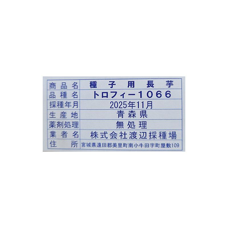 ＼大特価／ 30本 種芋 Mサイズ 長芋 トロフィー 1066 (とろろ) 青森産 種いも 長いも ながいも 吉S DZ |  | 02