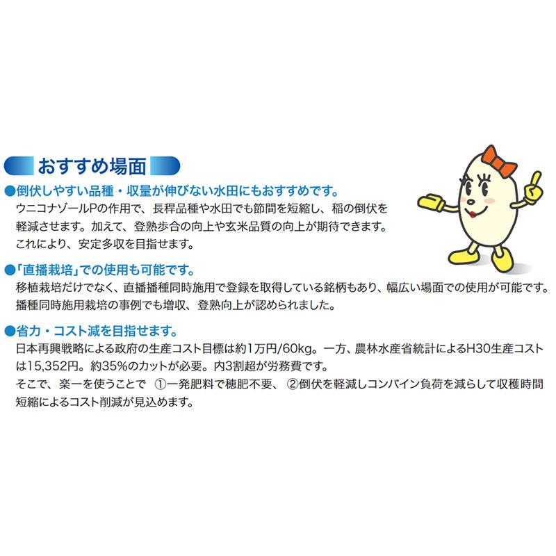 水稲肥料 らくいち 20S 15kg 20-11-10 住友化学 コシヒカリ系 楽一 水稲 肥料 倒伏軽減 基肥一発肥料 吉S D |  | 04