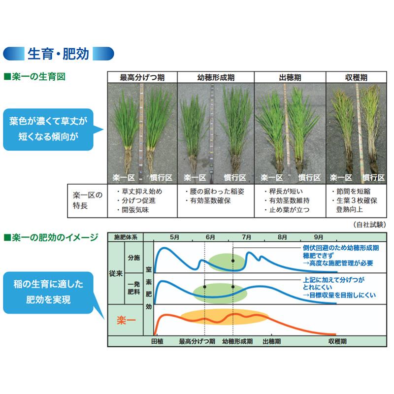 水稲肥料 らくいち 20S 15kg 20-11-10 住友化学 コシヒカリ系 楽一 水稲 肥料 倒伏軽減 基肥一発肥料 吉S D |  | 05