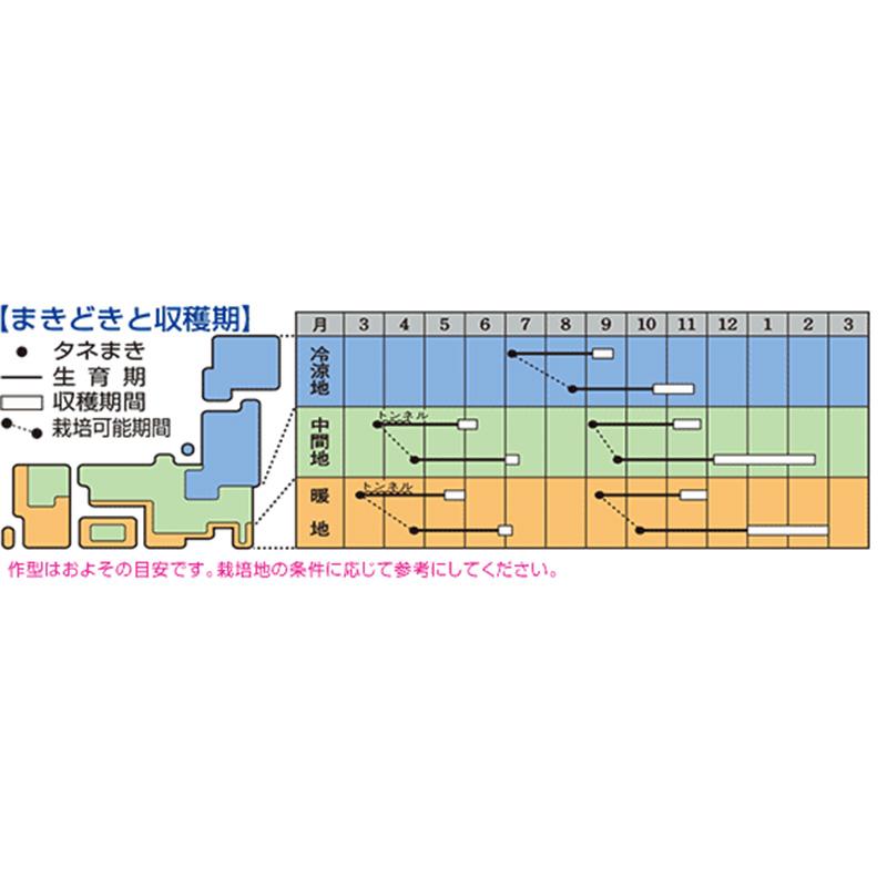 3.5ml 大根 耐病総太り タキイ種苗 タイビョウソウブトリ 大根 ダイコン 種子 栽培 家庭菜園 吉S DZ |  | 03