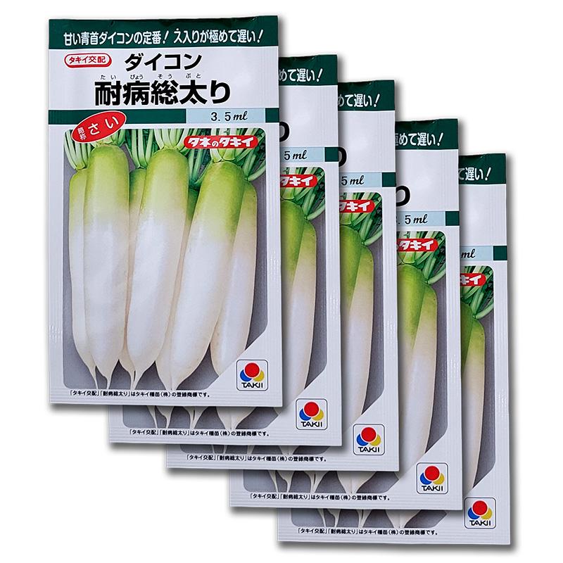 5袋 3.5ml 大根 耐病総太り タキイ種苗 タイビョウソウブトリ 大根 ダイコン 種子 栽培 家庭菜園 吉S DZ | 