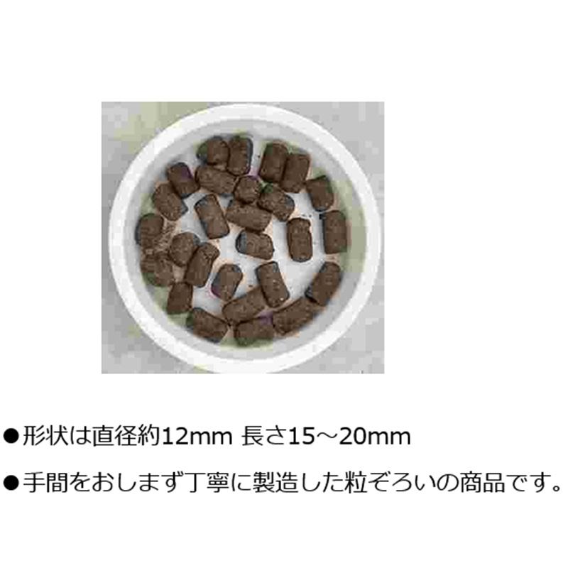 2kg 技 醗酵油かす 中粒 大和 有機質肥料 寒肥対応 洋蘭 観葉植物 庭木 果樹 花木 盆栽 吉S D |  | 03
