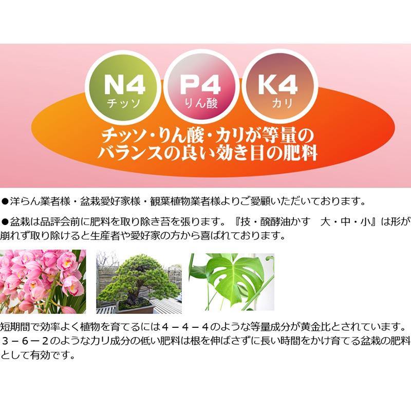 2kg 技 醗酵油かす 中粒 大和 有機質肥料 寒肥対応 洋蘭 観葉植物 庭木 果樹 花木 盆栽 吉S D |  | 04