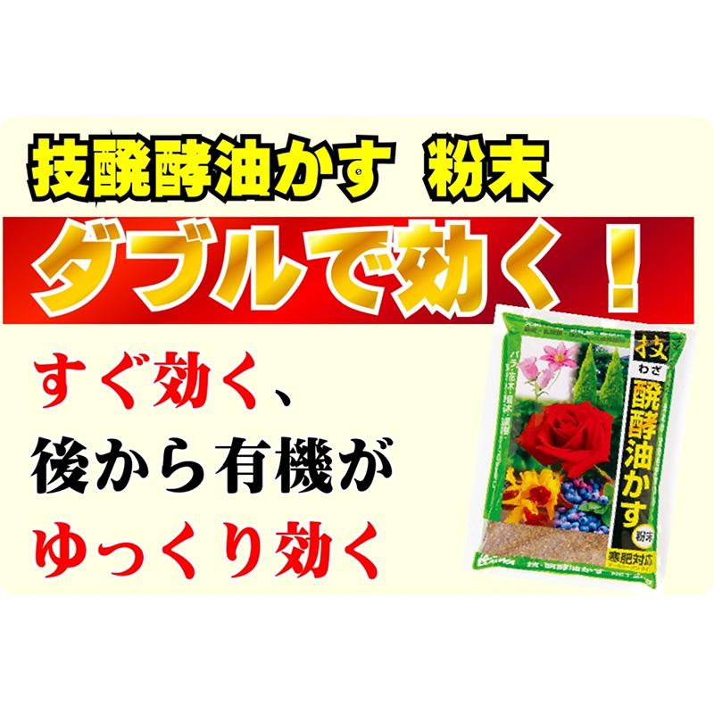 2kg 技 醗酵油かす 粉末 大和 有機質肥料 寒肥対応 洋蘭 観葉植物 庭木 果樹 花木 盆栽 吉S D |  | 03