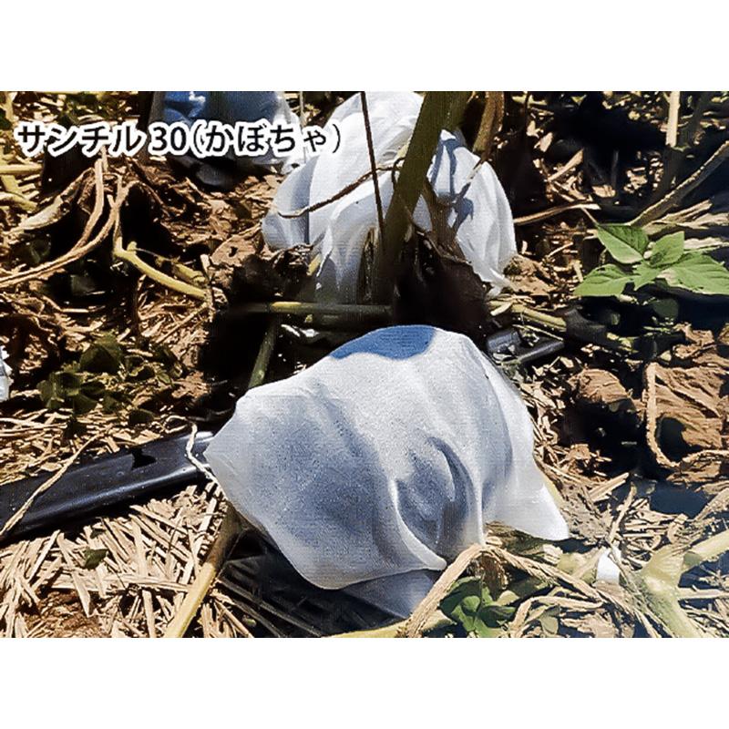 300枚 サンチル30 23cm×32cm 能任七 30%遮光 傘 日焼け防止 遮熱 果実 リンゴ 林檎 カボチャ 散光資材 被覆 散光 タS 個人宅配送不可 代引不可 |  | 04