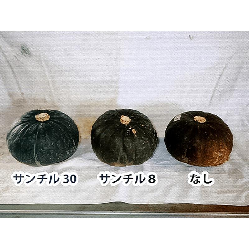 300枚 サンチル30 23cm×32cm 能任七 30%遮光 傘 日焼け防止 遮熱 果実 リンゴ 林檎 カボチャ 散光資材 被覆 散光 タS 個人宅配送不可 代引不可 |  | 05