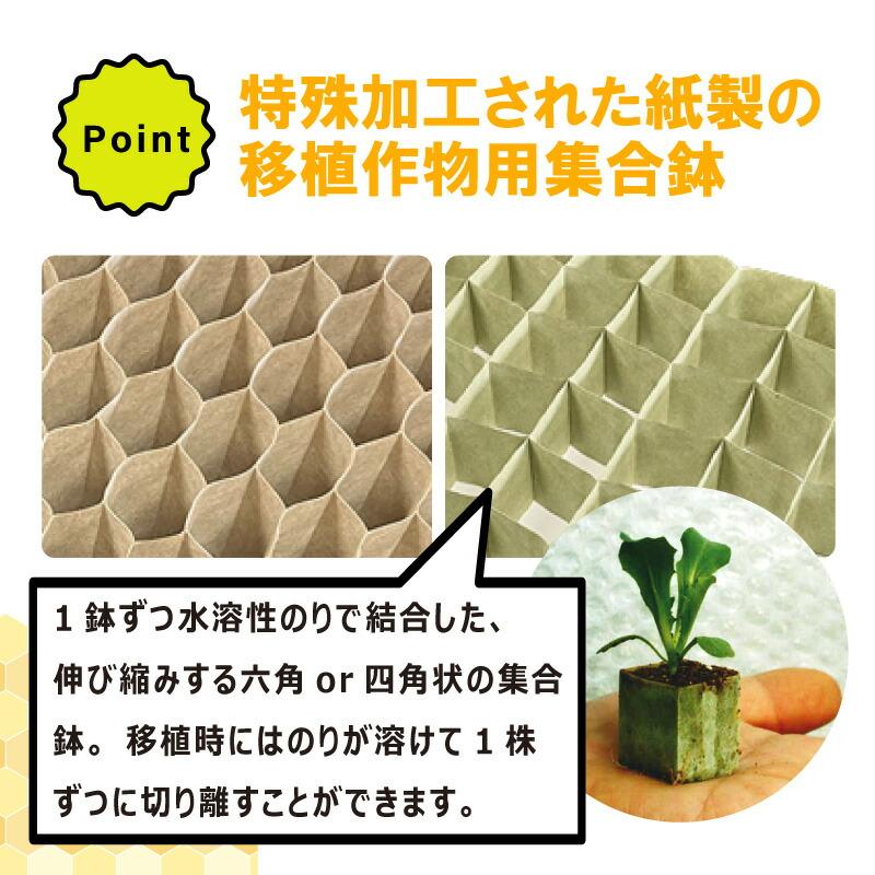 ペーパーポット No.10 10号 1冊（単品）72鉢 生分解性 紙筒 播種 種まき 育苗 苗 白菜 キャベツ トマト キュウリ ブロッコリー 野菜 ニッテン タSZ｜plusys｜04