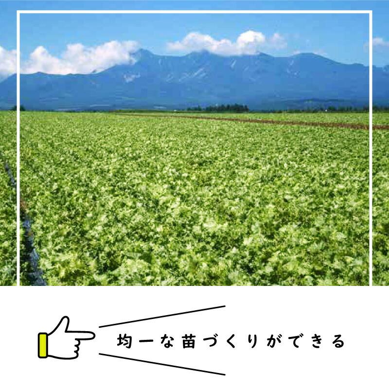 ペーパーポット No.11 11号 1冊 (単品) 128鉢 生分解性 紙筒 播種 種まき 育苗 苗 レタス スイートコーン 白菜 春菊 野菜 ニッテン タS DZ |  | 01