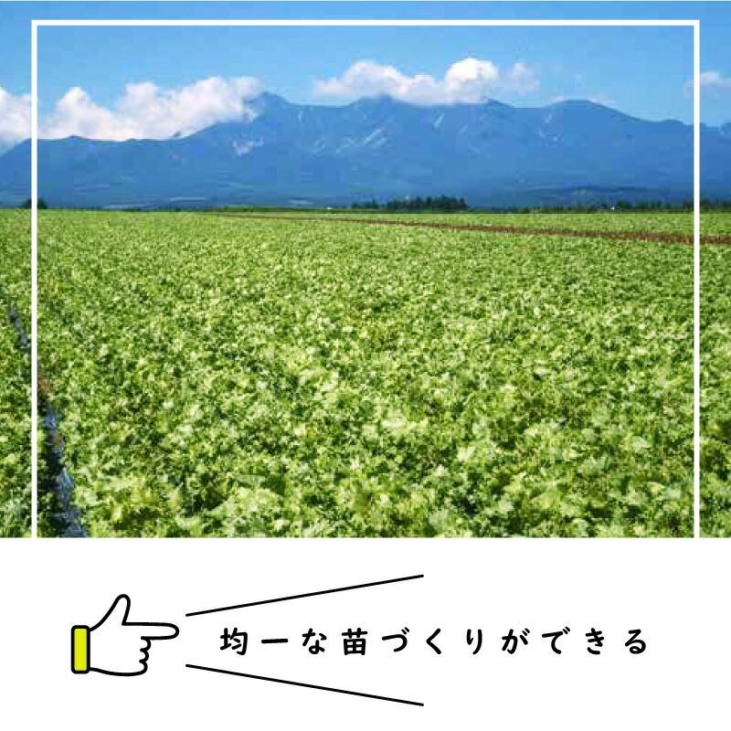 ペーパーポット No.12 12号 1冊 (単品) 144鉢 紙筒 播種 種まき 育苗 苗 レタス 白菜 チンゲン菜 野菜 ニッテン タS DZ |  | 01