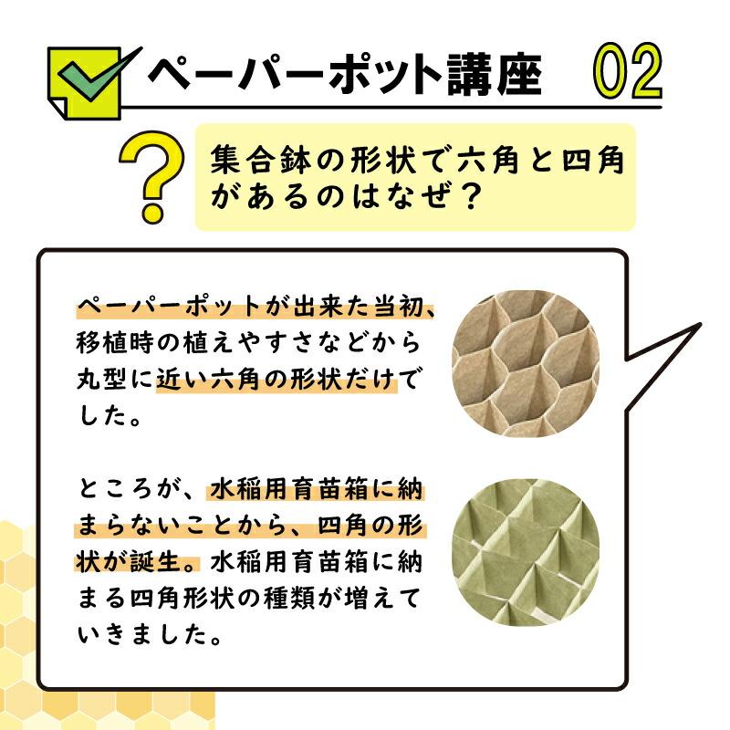 ペーパーポット No.13 13号 1冊 (単品) 84鉢 生分解性 紙筒 播種 種まき 育苗 苗 トマト キュウリ キャベツ ブロッコリー 野菜 ニッテン タSZ |  | 13