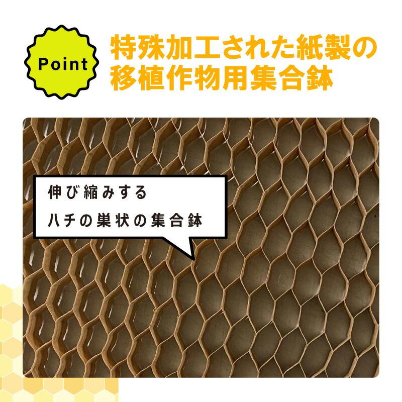 チェーンポット CP303 1冊 (単品) 株間5cm 264鉢 播種 種まき 育苗