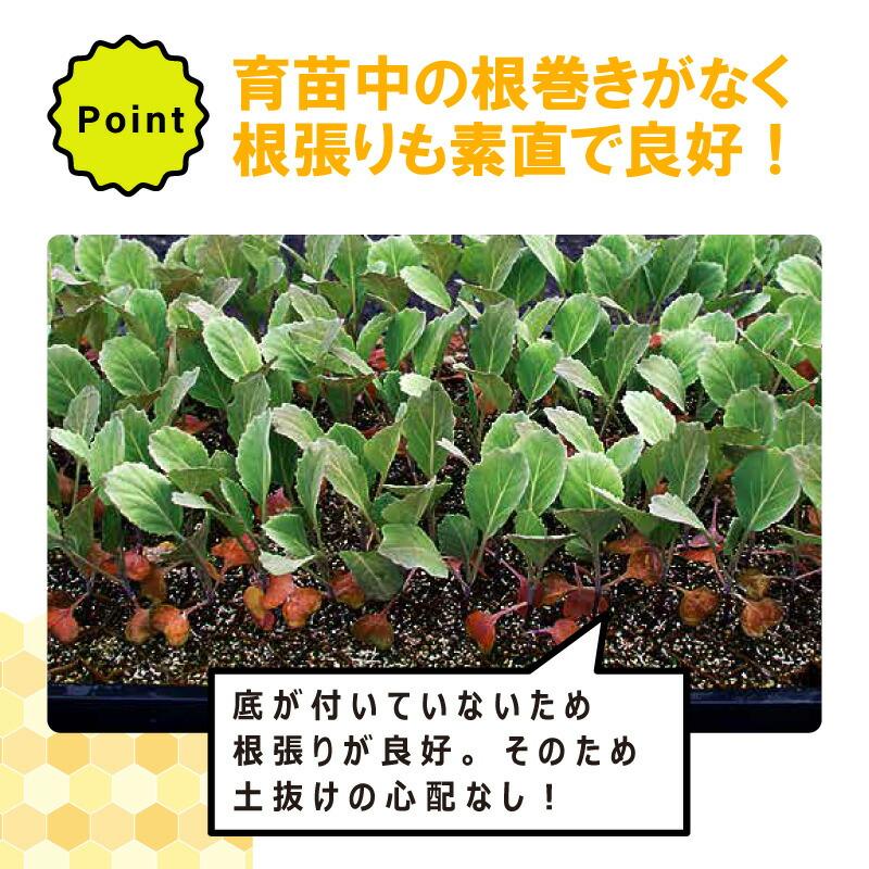 チェーンポット CP303 1冊 (単品) 株間5cm 264鉢 播種 種まき 育苗