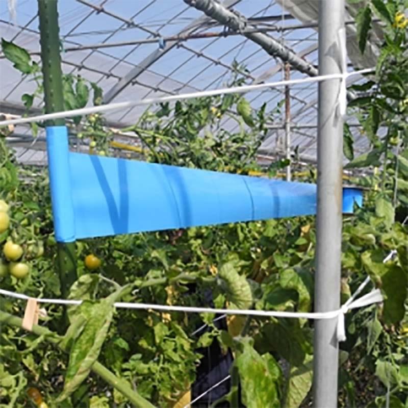 トルシーロール 青色 100mm×100m 害虫捕獲粘着紙 捕虫紙 粘着 ロール 害虫 虫 対策 駆除 野菜 農作物 忌避 防虫 園芸 農業 用品 ハウス栽培 一色本店 D |  | 01