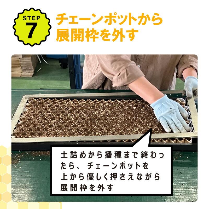 ポットシーダー　CP300 播種セット 播種5点セット CP300 2 3粒LL-大 チェーンポット用 展開串 土詰ブラシ