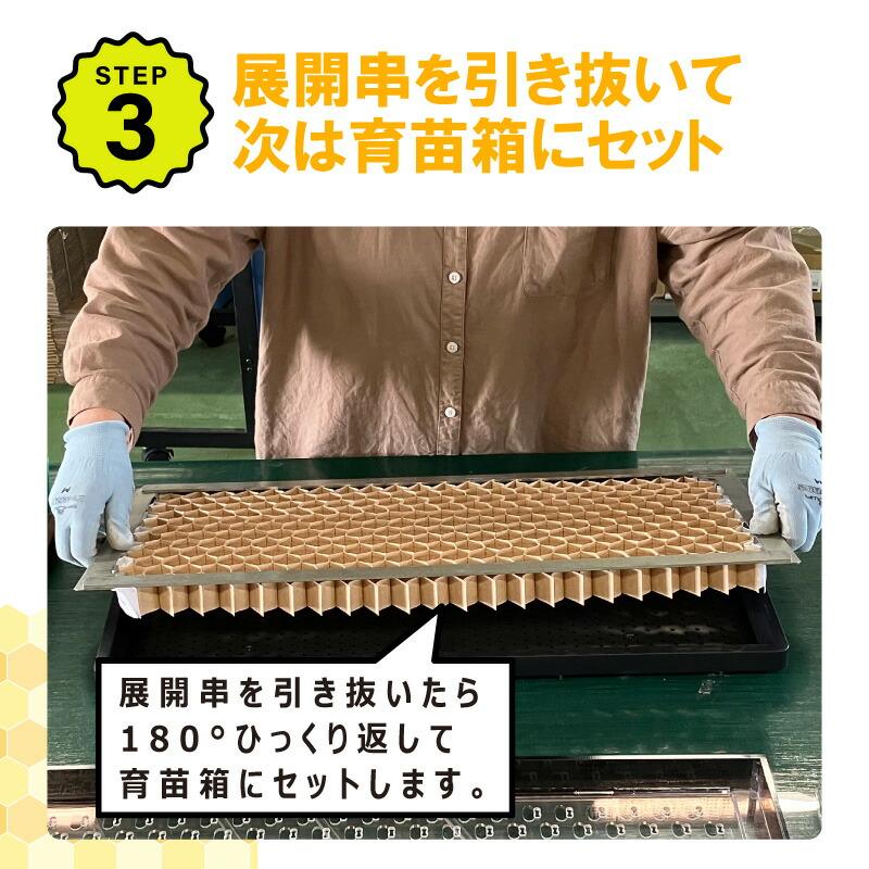 播種5点セット CP300 2 3粒LL-大 チェーンポット用 展開串 土詰ブラシ