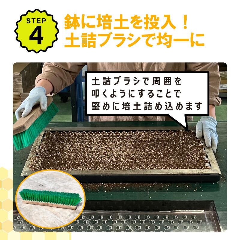 播種5点セット CP300 2 3粒LL-大 チェーンポット用 展開串 土詰ブラシ