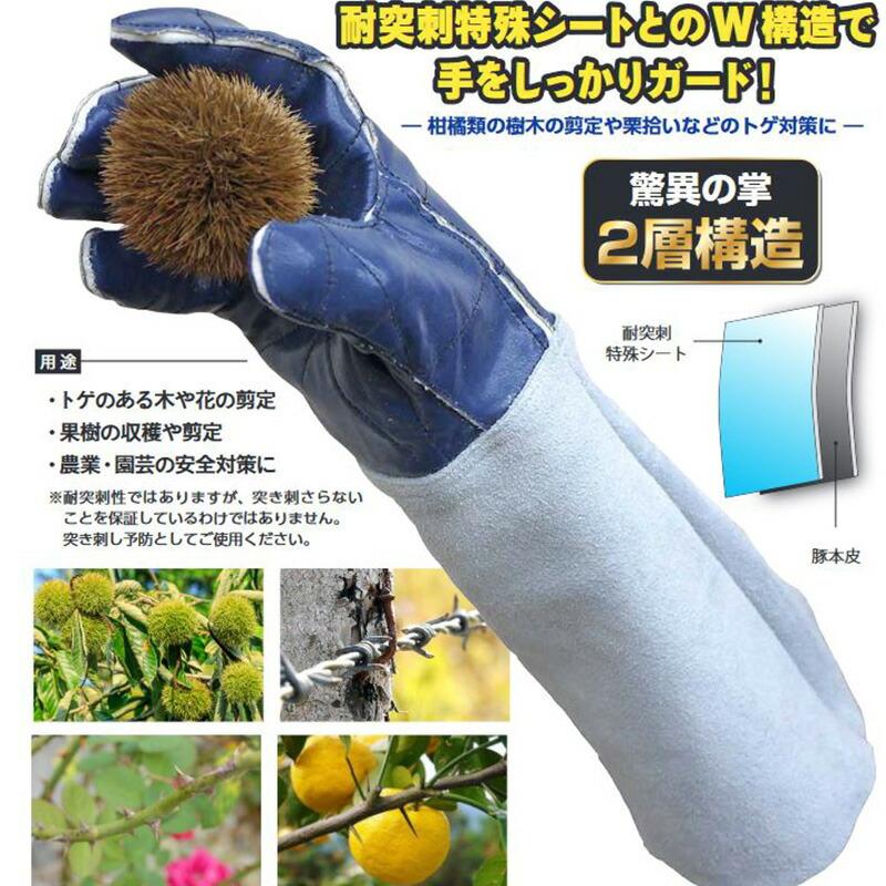 TH-700 とげハンド 富士グローブ 手袋 果樹収穫 木や花の剪定 トゲ対策 安全対策 福KD |  | 01