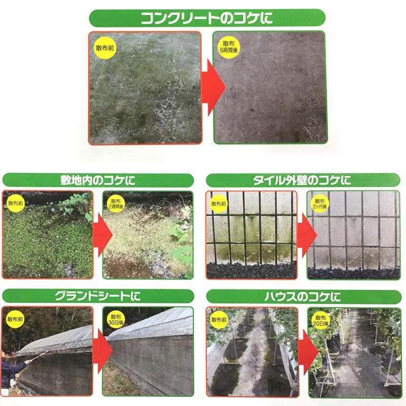 4本入り コケそうじ 2L 業務用濃縮液 濃縮タイプ 20倍希釈用 GSE イシクラゲ 除去 駆除 パネフリ タS DZ |  | 01