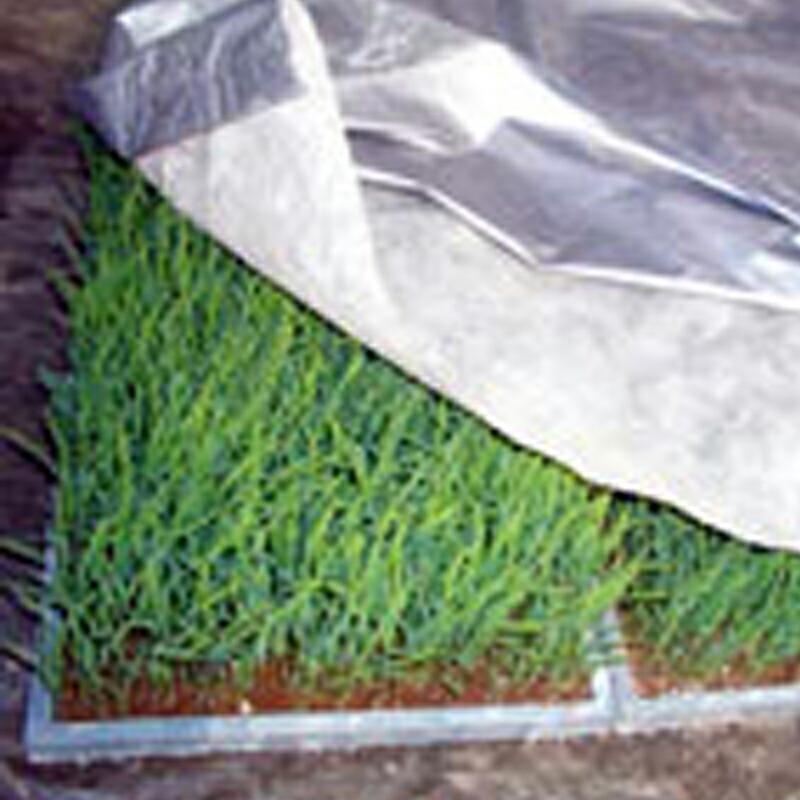 2本 シルバーホッカ 2.3×25m 水稲育苗用保温シート 不織布 岩谷マテリアル イワタニ タS 個人宅配送不可 北海道不可 代引不可 |  | 01