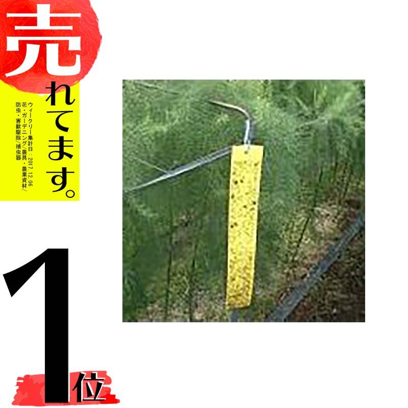 ビタットトルシー S100枚入(黄色) 50×350mm 害虫捕獲粘着紙 一色本店 DZ | 