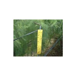 ビタットトルシー S100枚入(青色) 50×350mm 害虫捕獲粘着紙 一色本店 DZ |  | 01