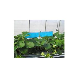 24袋ビタットトルシー ネット付 S25枚入(青色) 50×350mm 害虫捕獲粘着紙 一色本店 D |  | 01