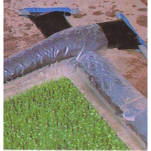 ぷーるっこ 育苗プールシート (Aタイプ シート2枚) 育苗箱120箱用 カ施D |  | 01