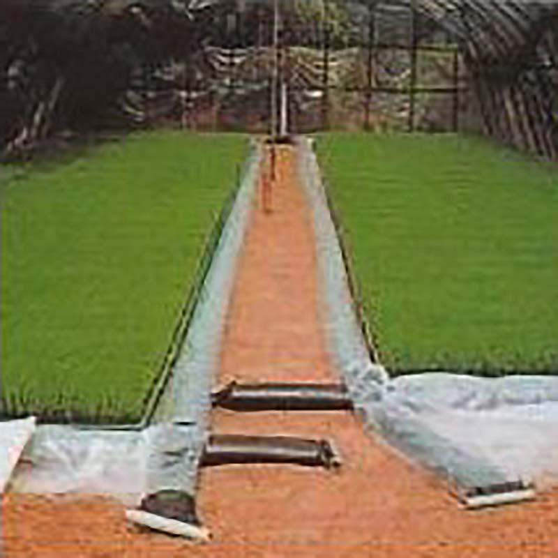 ぷーるっこ 育苗プールシート (Bタイプ シート2枚) 育苗箱160箱用 カ施D | 