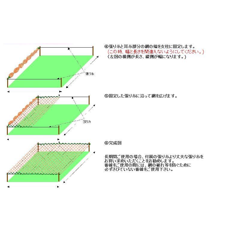 150坪 強力 防鳥ネット 18×27m 30mm目合 1000デニール ブルー 防鳥網 鳥 対策 果樹園 田 畑 小商 DZ |  | 02