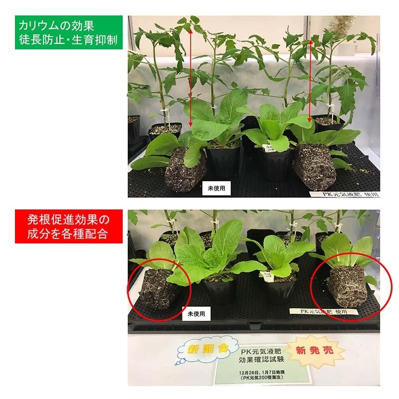 Pk元気液肥 0 5 15 kg タキイ種苗 果菜類の着果向上 トマト着色不良改善 根菜類の肥大促進 液肥 肥料 タ種 代引不可 農業用品販売のプラスワイズ 通販 Yahoo ショッピング