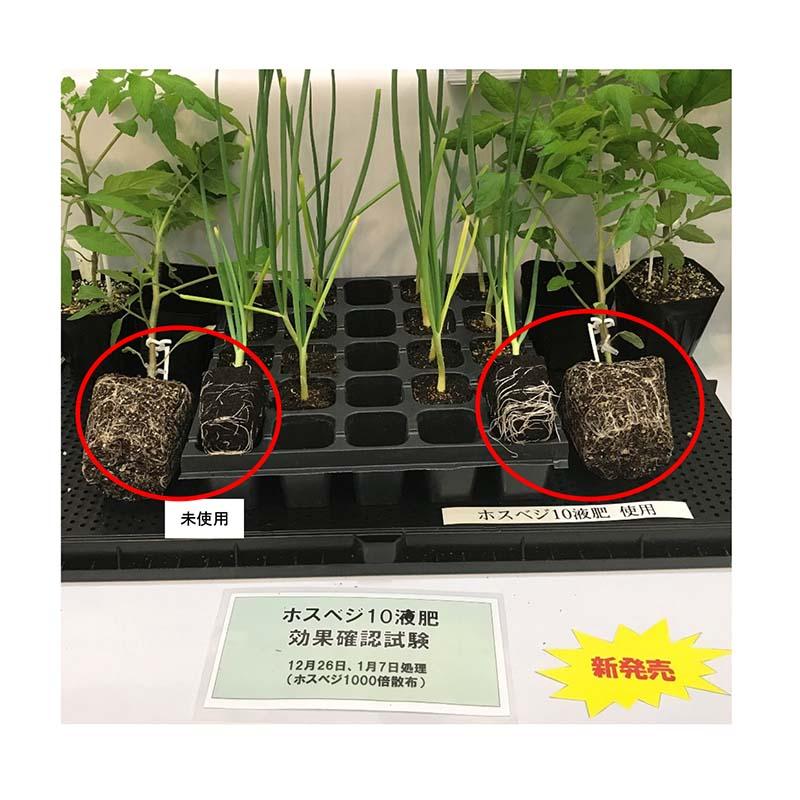 10個 ホスベジ10 1-30-16 1L タキイ種苗 亜リン酸 + グリシンベタイン 葉を強く 根を元気に 花の充実 液肥 肥料 代引不可 |  | 03
