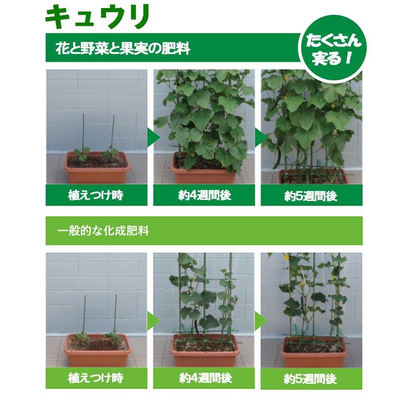 ハイポネックス Plantia プランティア 花と野菜と果実の肥料 (700g) 肥料 有機入り 緩効性肥料 家庭菜園 元肥 追肥 タS DZ | ハイポネックス | 03