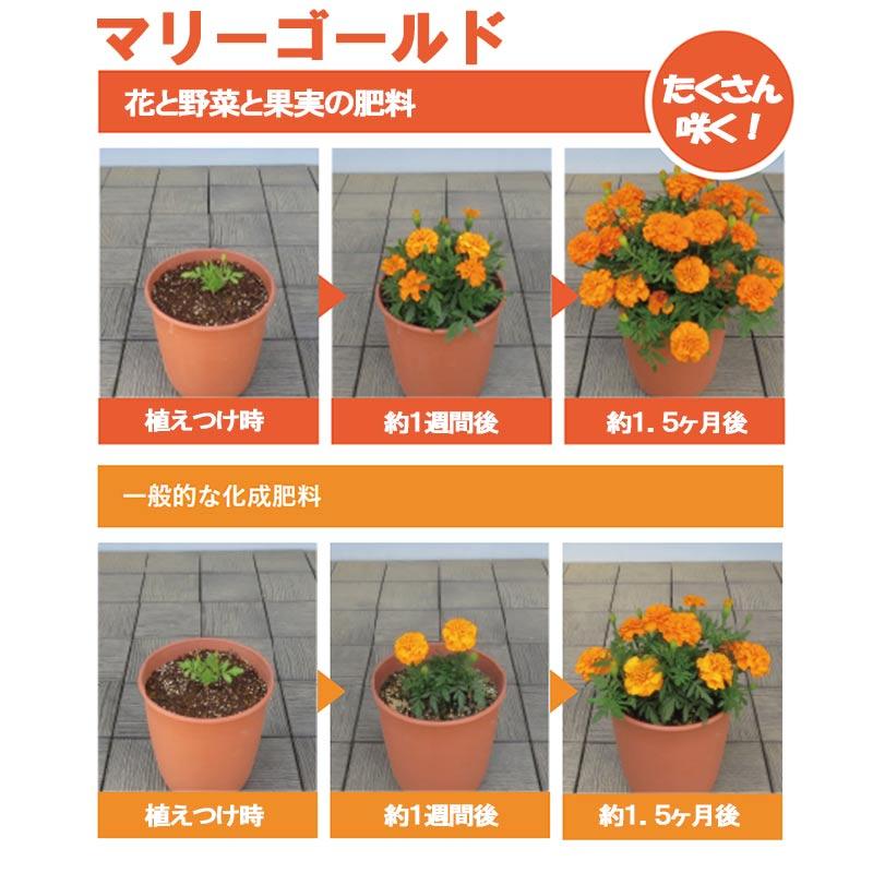 ハイポネックス Plantia プランティア 花と野菜と果実の肥料 (700g) 肥料 有機入り 緩効性肥料 家庭菜園 元肥 追肥 タS DZ | ハイポネックス | 04