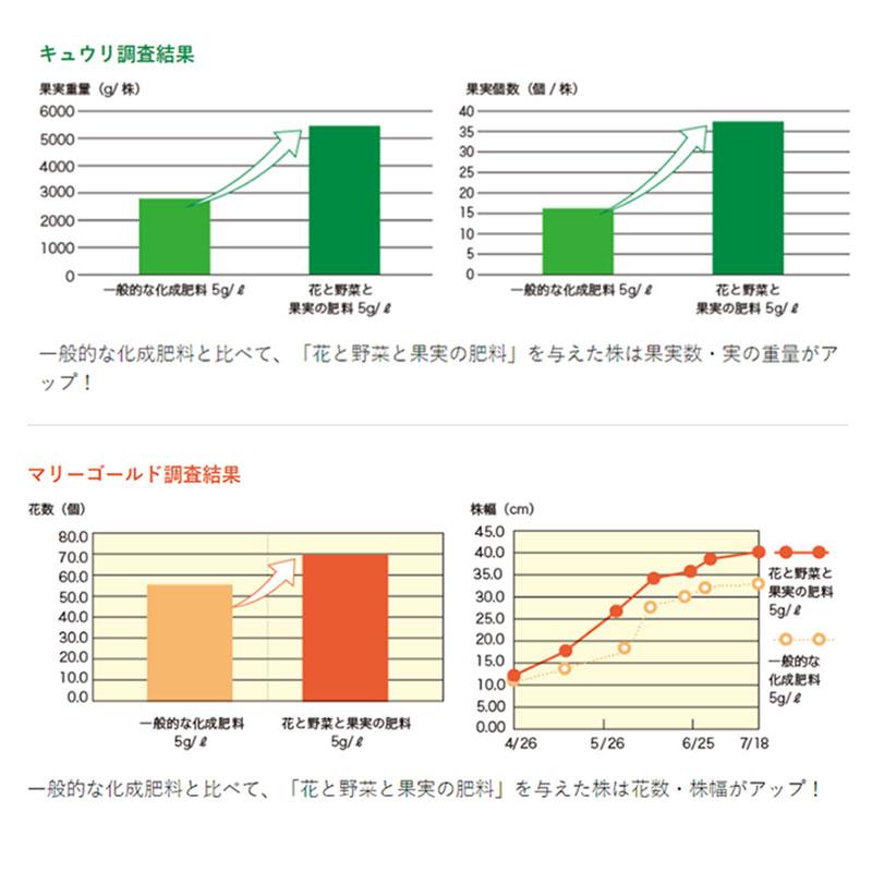 ハイポネックス Plantia プランティア 花と野菜と果実の肥料 (700g) 肥料 有機入り 緩効性肥料 家庭菜園 元肥 追肥 タS DZ | ハイポネックス | 05
