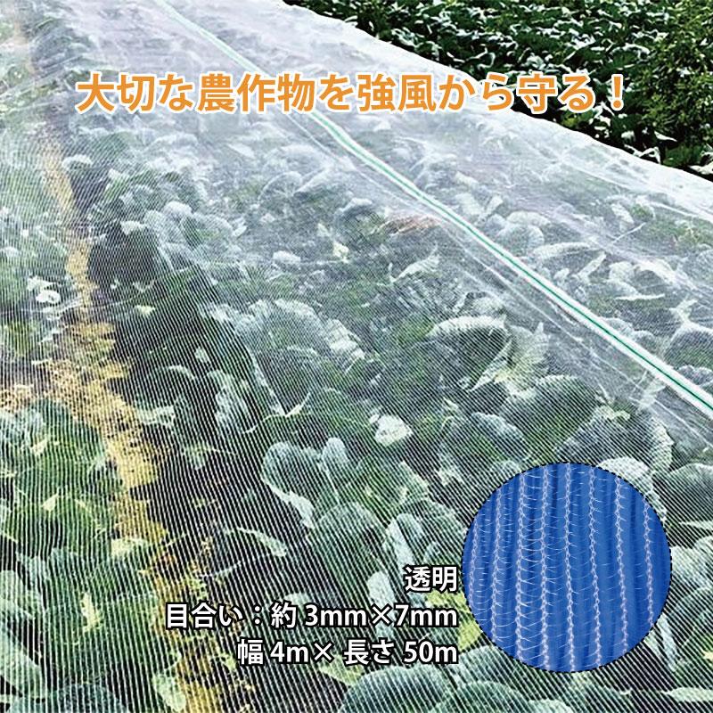 ダイオ タイフーンカバー 透明 4m×50m 137 防風ネット 防鳥 防雹 ゲリラ豪雨対策 べたがけ イノベックス サT 北海道不可 個人宅配送不可 代引不可 | 