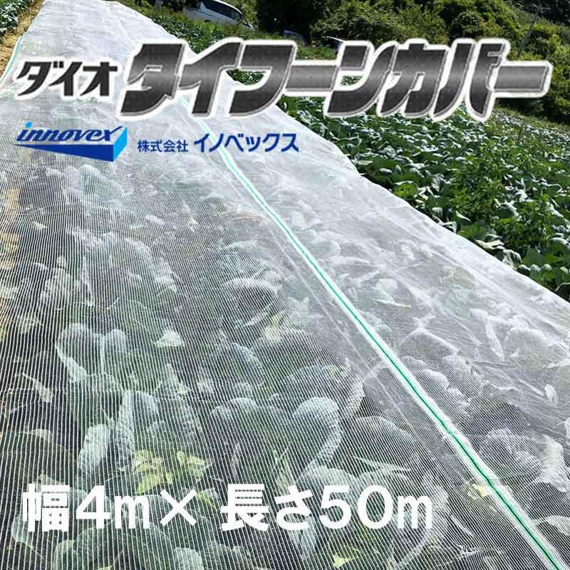 ダイオ タイフーンカバー 透明 4m×50m 137 防風ネット 防鳥 防雹 ゲリラ豪雨対策 べたがけ イノベックス サT 北海道不可 個人宅配送不可 代引不可 |  | 01