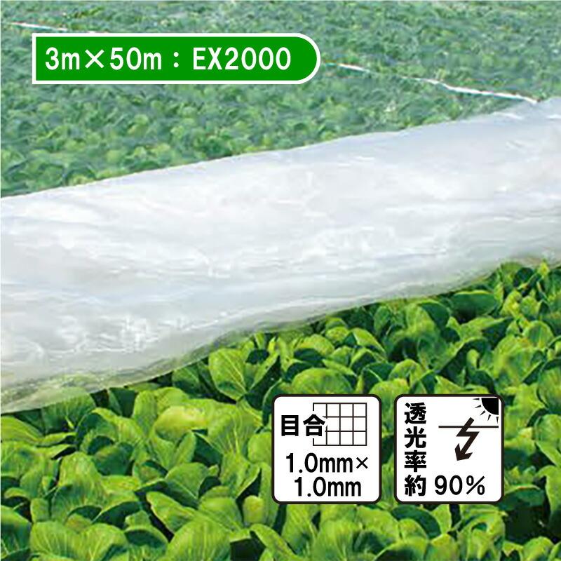 3m×50m ベタ掛け 防虫サンサンネット EX2000 台風対策 ゲリラ豪雨対策 防虫 防鳥 日本ワイドクロス カ施 個人宅配送不可 代引不可 | 