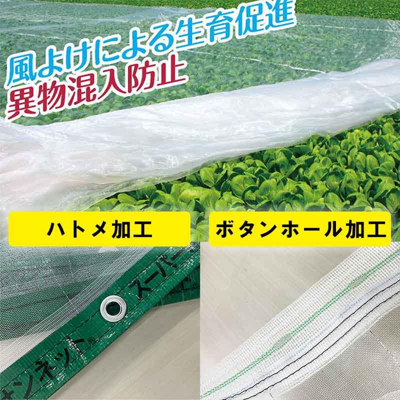 5m×80m ベタ掛け 防虫サンサンネット EX2000 台風対策 ゲリラ豪雨対策 防虫 防鳥 日本ワイドクロス カ施 個人宅配送不可 代引不可 |  | 04