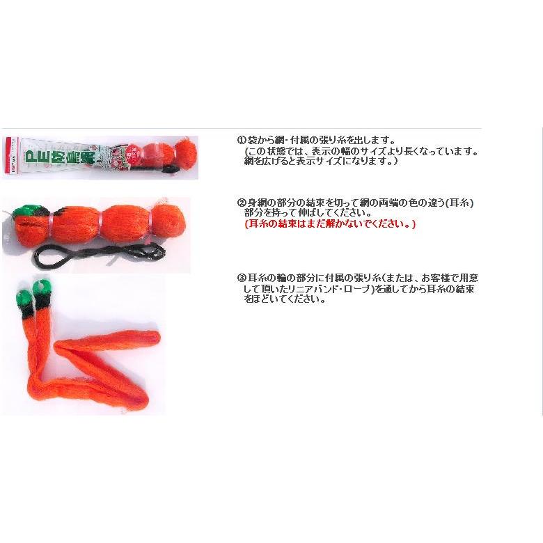 200坪 強力 防鳥ネット 18×36m 30mm目合 1000デニール ブルー 防鳥網 小商 DZ |  | 01