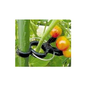 くき止めクリップ 20コ入り 16-20mm用 第一ビニール 金TD |  | 01