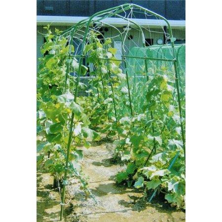 菜園かんたん パッカー 10個 入りパック ライトグリーン 直径 20mm 用 第一ビニール 金TD |  | 01