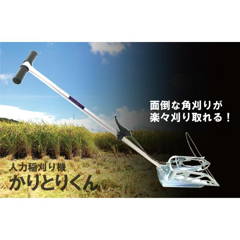 2本 かりとりくん 人力稲刈り機 稲刈 角刈り 隅刈り 手刈り 刈り取り 稲刈り 稲刈り機 稲 収穫 押切 刈り取り君 かりとり君 腰痛 疲労 負担 軽減 オK 代引不可 |  | 01
