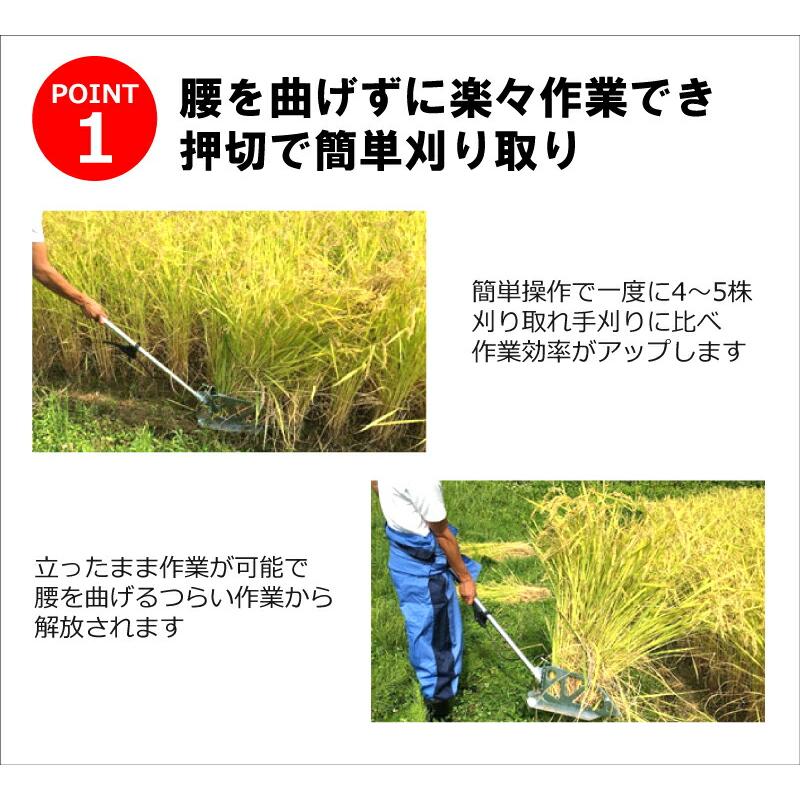 10本 かりとりくん 人力稲刈り機 稲刈 角刈り 隅刈り 手刈り