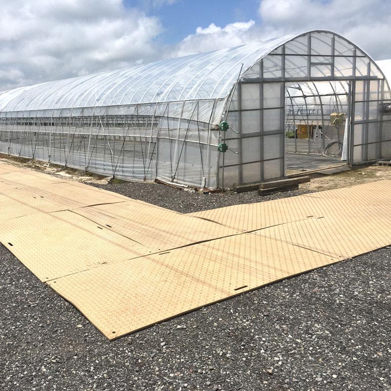 工事用 樹脂製 簡易敷板 Diban 片凸 茶 3×6 910×1820×13 農業 工場 国内生産 ウッドプラスチックT 北海道不可 個人宅配送不可 代引不可 |  | 01